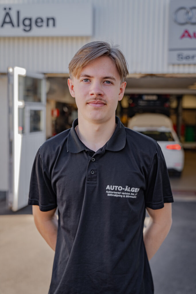Vigor Klarin Bilmekaniker Auto-Älgen